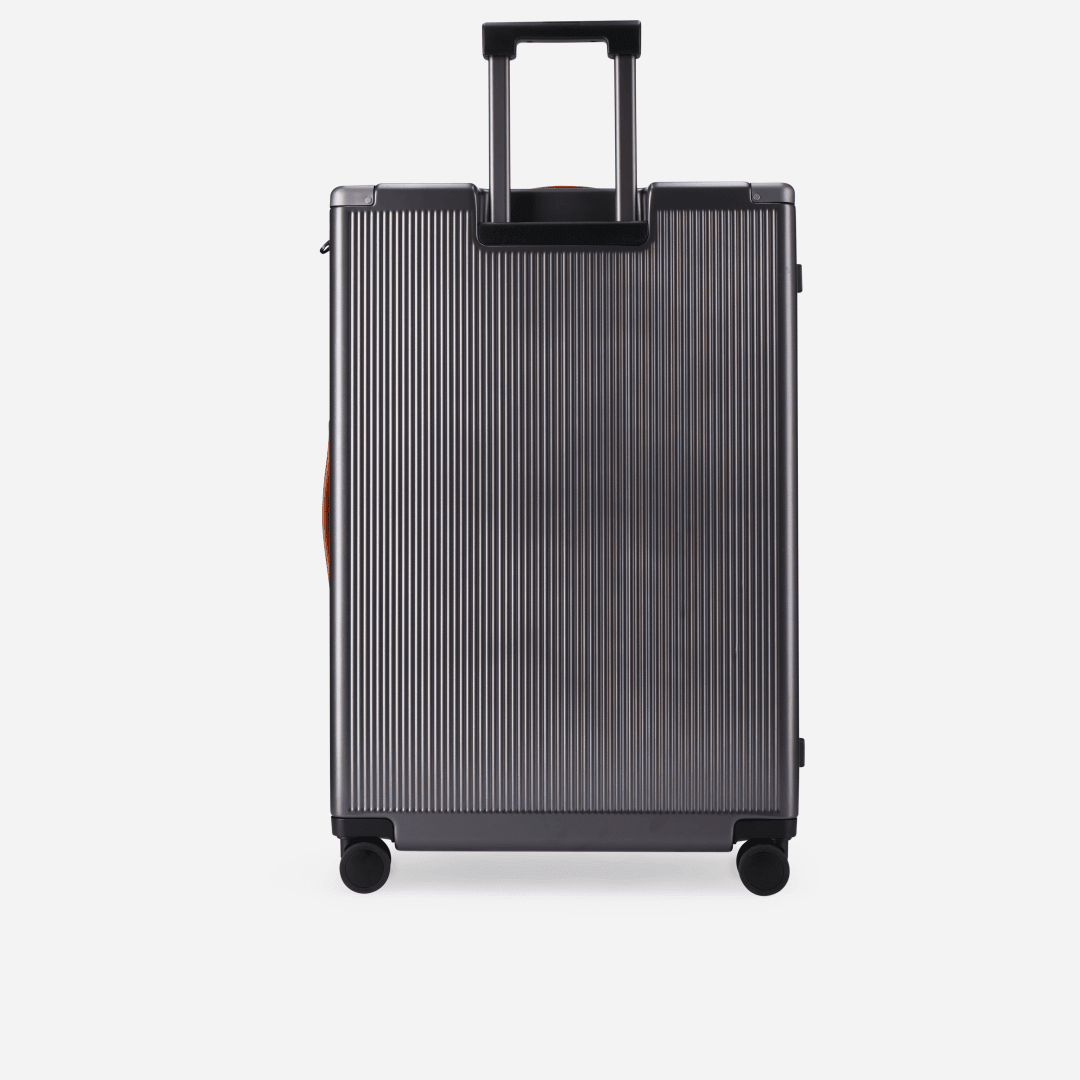 https://cdn.shopify.com/s/files/1/0855/2288/files/large-check-in-79cm-115-llarge-check-in-trolleyjekyll-hidesilver-437602.png?v=1776978189