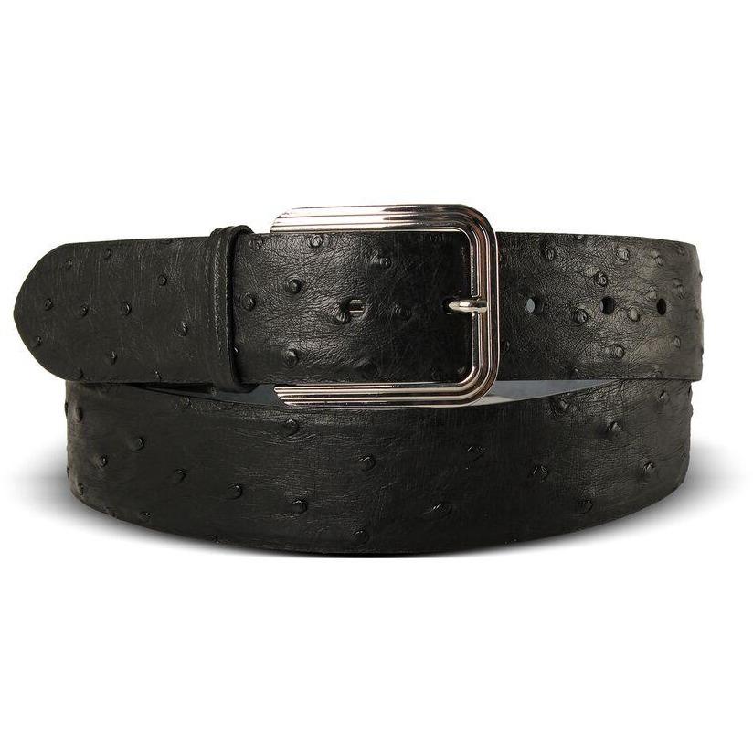 Via Veneta Ostrich Belt | Black - iBags.co.za