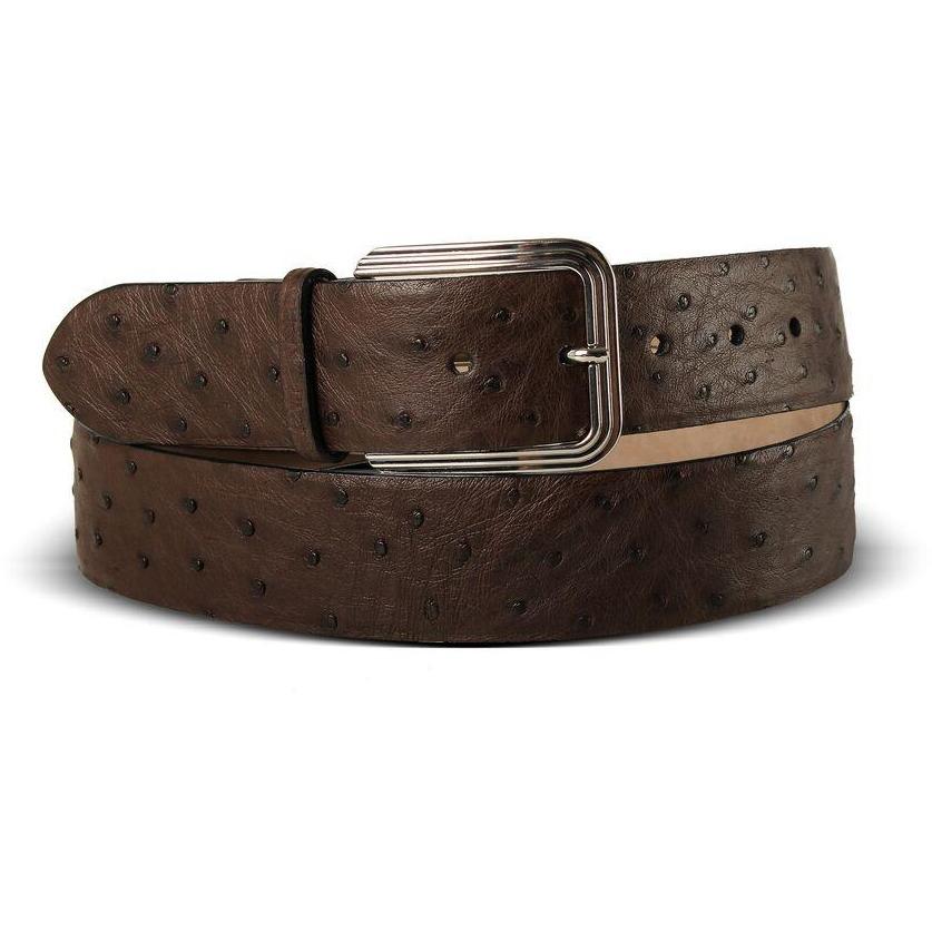 Via Veneta Ostrich Belt | Brown - iBags.co.za