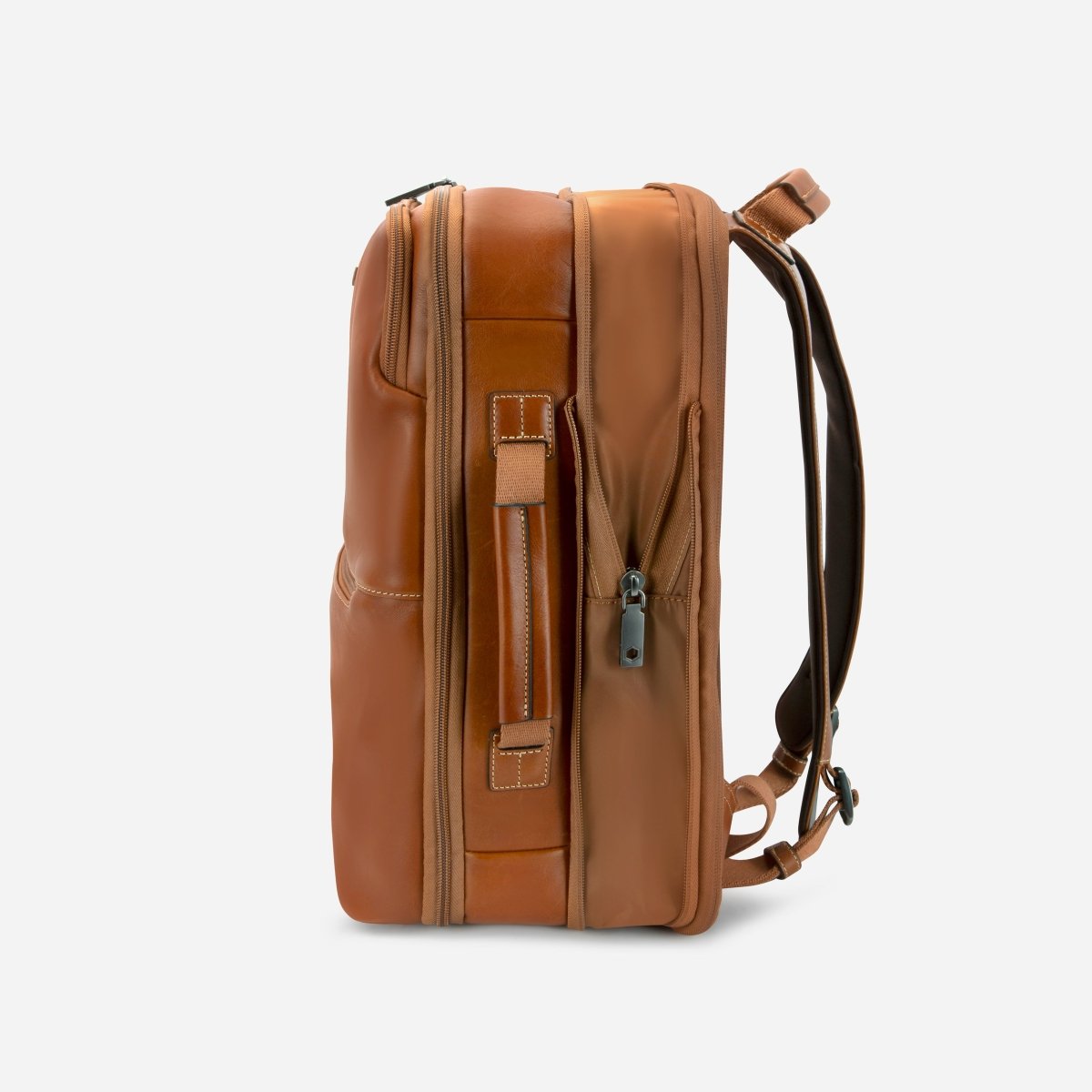https://cdn.shopify.com/s/files/1/0855/2288/files/3677COLT_012.jpg?v=1778065945