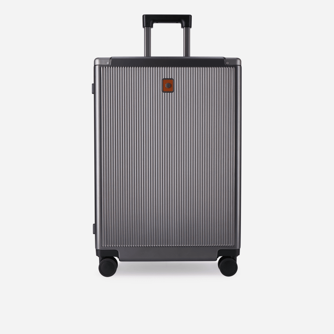 https://cdn.shopify.com/s/files/1/0855/2288/files/medium-check-in-67cm-70-lmedium-check-in-trolleyjekyll-hidesilver-750601.png?v=1776978189