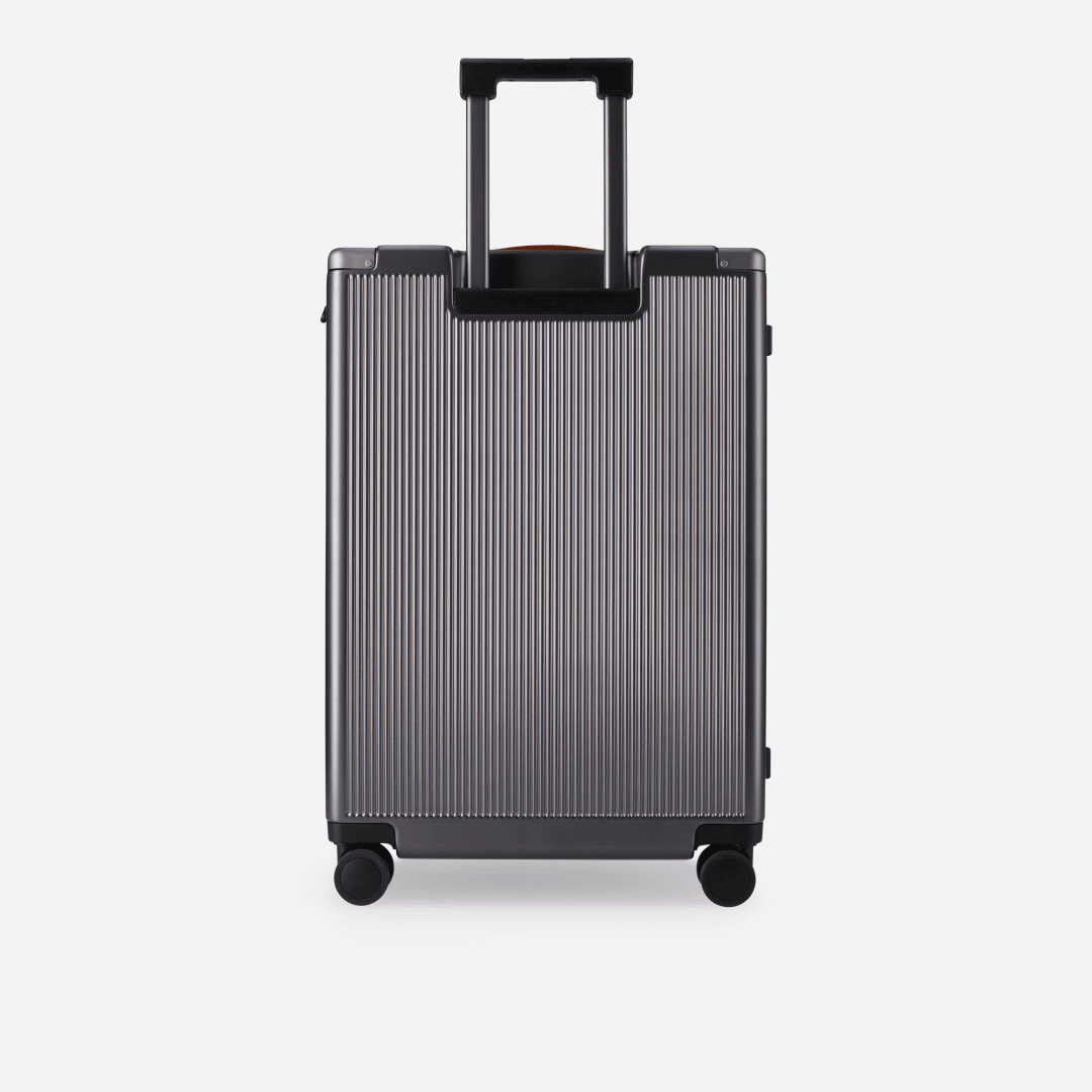 https://cdn.shopify.com/s/files/1/0855/2288/files/medium-check-in-67cm-70-lmedium-check-in-trolleyjekyll-hidesilver-884386.png?v=1776978189