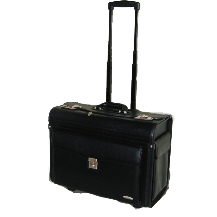 Pilot Cases from iBags, get free delivery