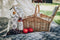 Yuppie Fairytale Picnic Basket Full Accessory Set (5 Persons) - iBags - Luggage & Leather Bags